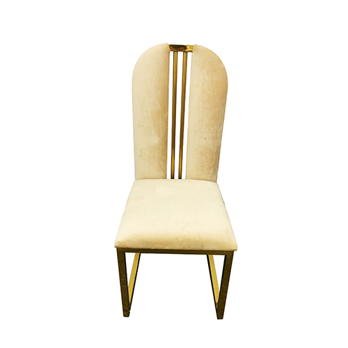 2X Fancy Dining Chair Stainless Gold Frame & Seat In Multiple Colour Fabric
